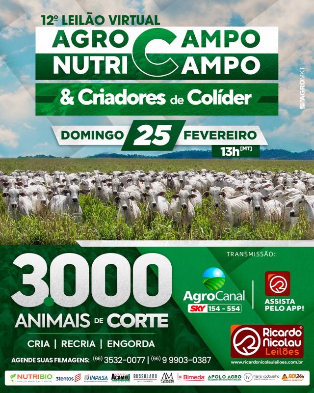 Leilão Virtual Agrocampo Nutricampo Criadores de Colíder hoje no Agro